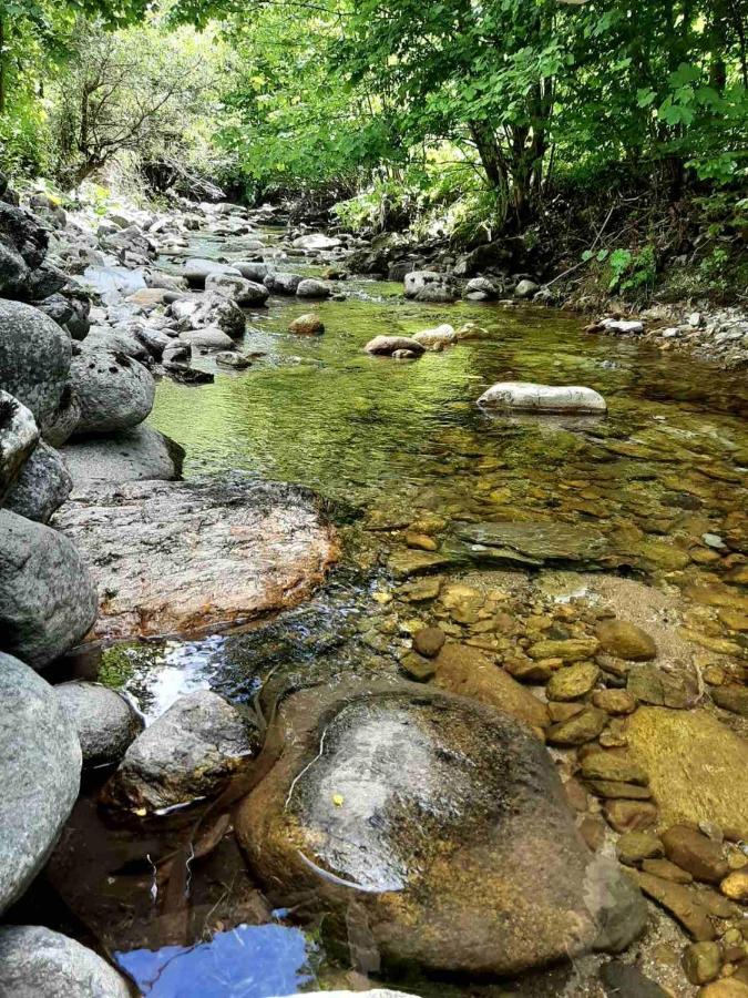 Resort Biela Skala - Chata Chopok Jasna Juh Bystrá Buitenkant foto