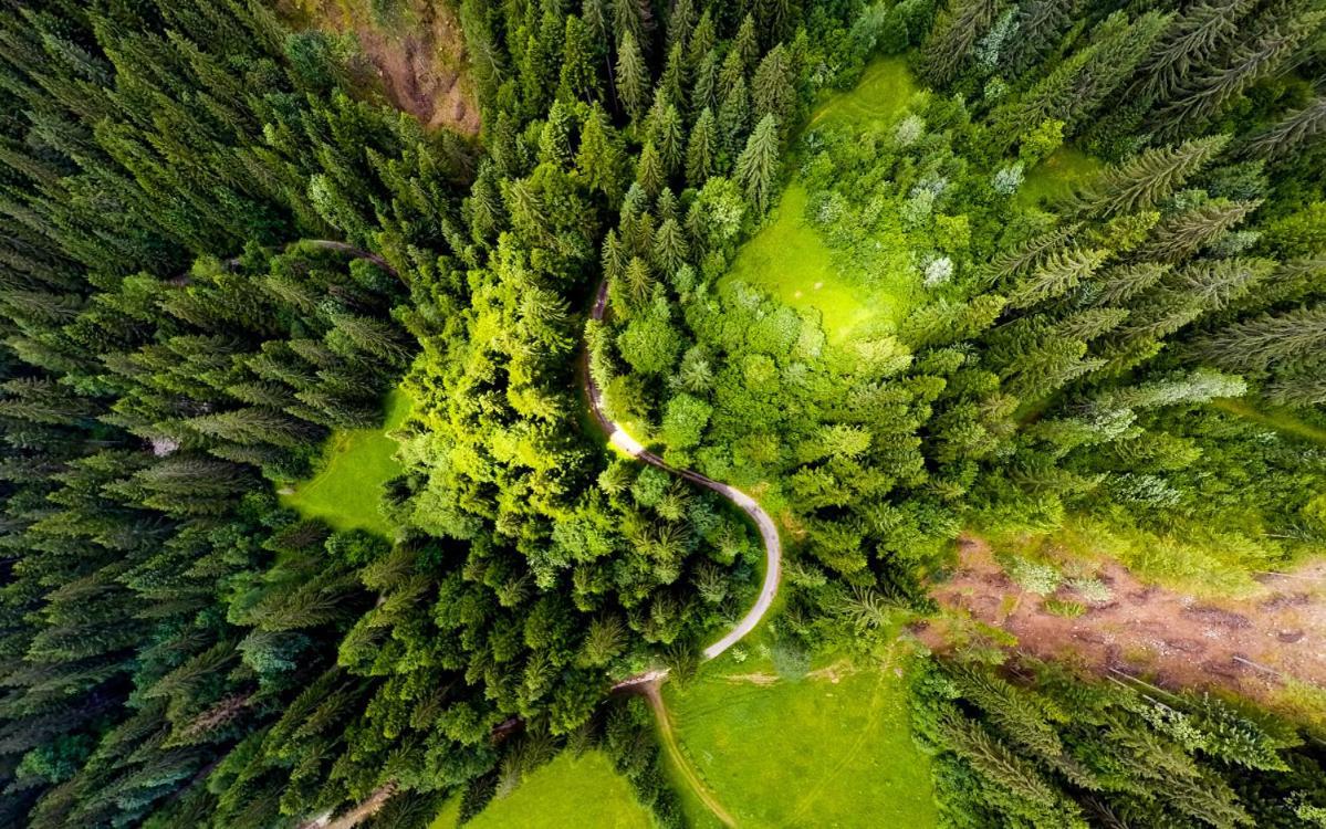Resort Biela Skala - Chata Chopok Jasna Juh Bystrá Buitenkant foto